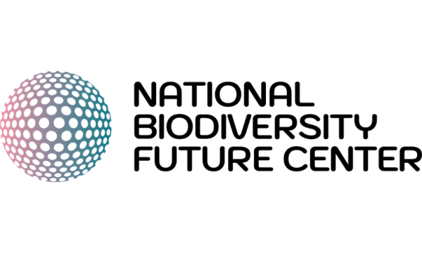 NBFC project logo